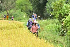 BIB: 
                            <button type="button" onclick="openModal(13436891)" class="btn btn-primary btn-sm float-right btn-popup" data-toggle="modal" data-target=".modal-high-quality">
                        <i class="fas fa-shopping-cart"></i> Add to Cart
                    </button>
                                            <button type="button" onclick="isThisMe(13436891, true)" class="btn btn-success btn-sm float-right btn-popup btn-isme hidden" data-toggle="tooltip" data-placement="bottom" title="นี่คือรูปของคุณใช่ไหม คลิกที่นี่เพื่อเอาเข้าอัลบั้ม">
                        <i class="fas fa-plus"></i> Add to album
                    </button>
                    <button type="button" onclick="isThisMe(13436891, false)" class="btn btn-warning btn-sm float-right btn-popup btn-isnotme hidden">
                        <i class="fas fa-ban"></i> Remove from album
                    </button>